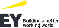 Ey Logo Beam Tag Horizontal
