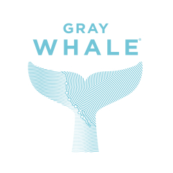Gray Whale New